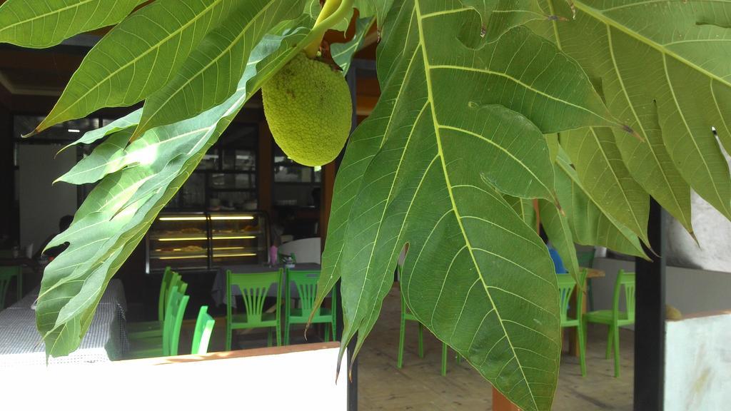 Maafushi View Hotel Bagian luar foto