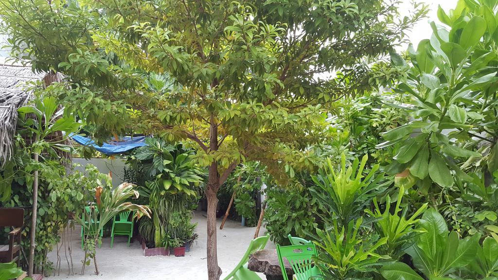 Maafushi View Hotel Bagian luar foto